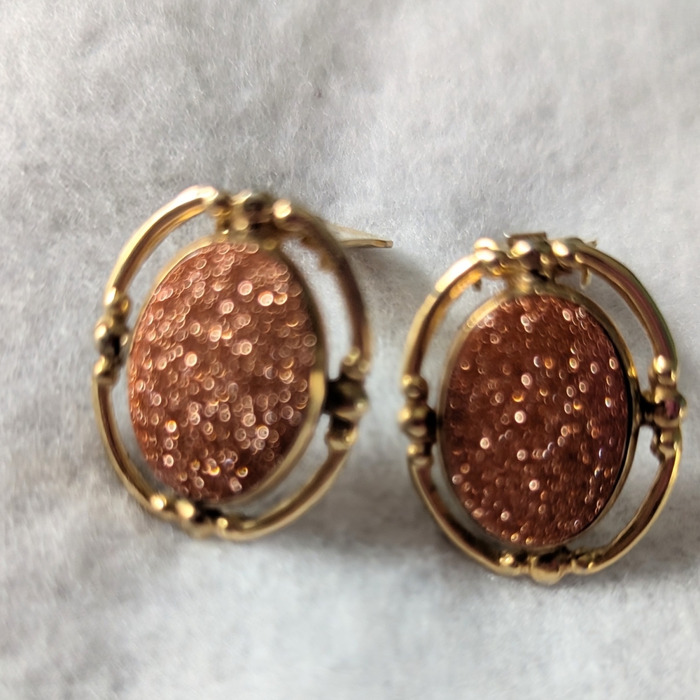Chic Gold and Brown Textured Earrings